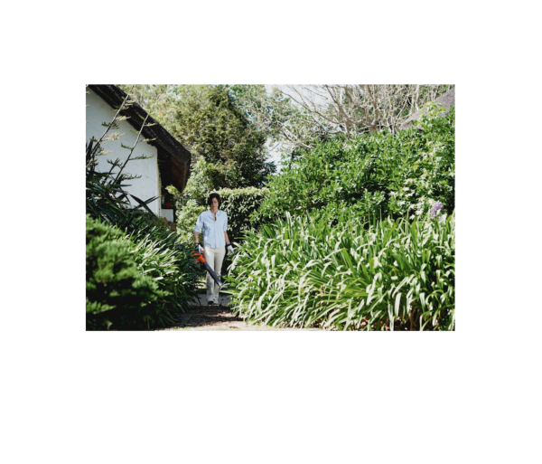 125BVX 28-cc 2-Cycle 170-MPH 470-CFM Handheld Gas Leaf Blower with Vacuum Kit (952711902)