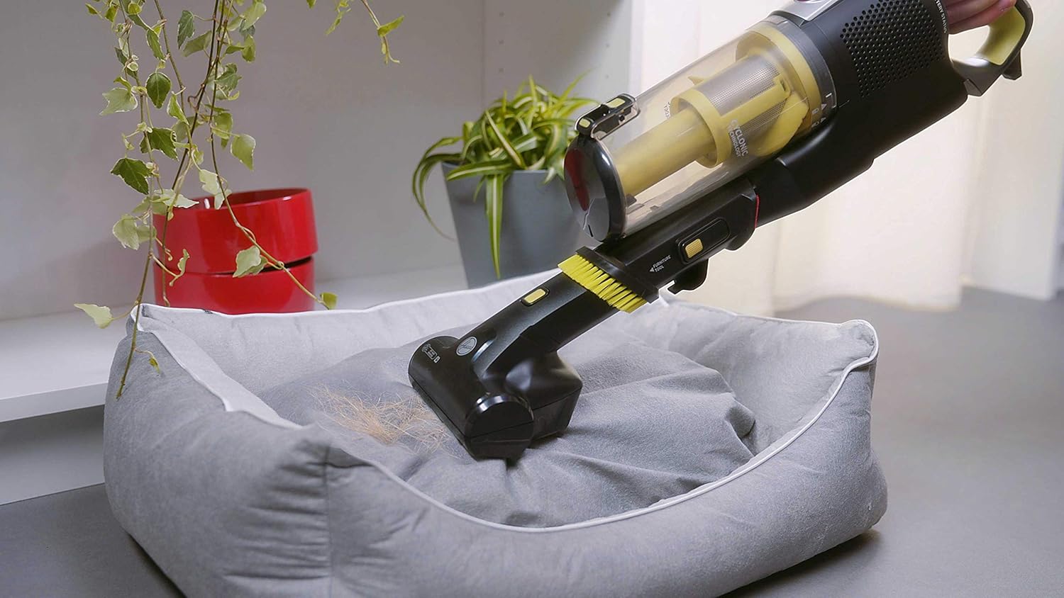 Hoover Akku-Staubsauger mit Tierhaar-Düse, austauschbare Walzen für Universalboden und sensible Bden, bis zu 30 Min. Laufzeit, beutellos, freistehend, leicht & kompakt verstaubar [HF522NPW]