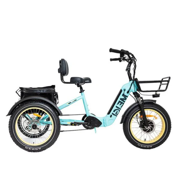 20 48V/14AH 750W Foldable Fat Tire Electric Trike, 330LBS