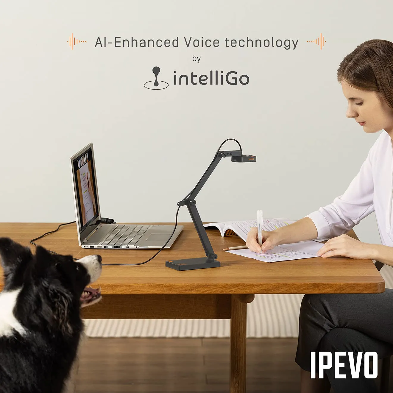 IPEVO V4K PRO Ultra HD USB Document Camera with AI-Enhanced Mic