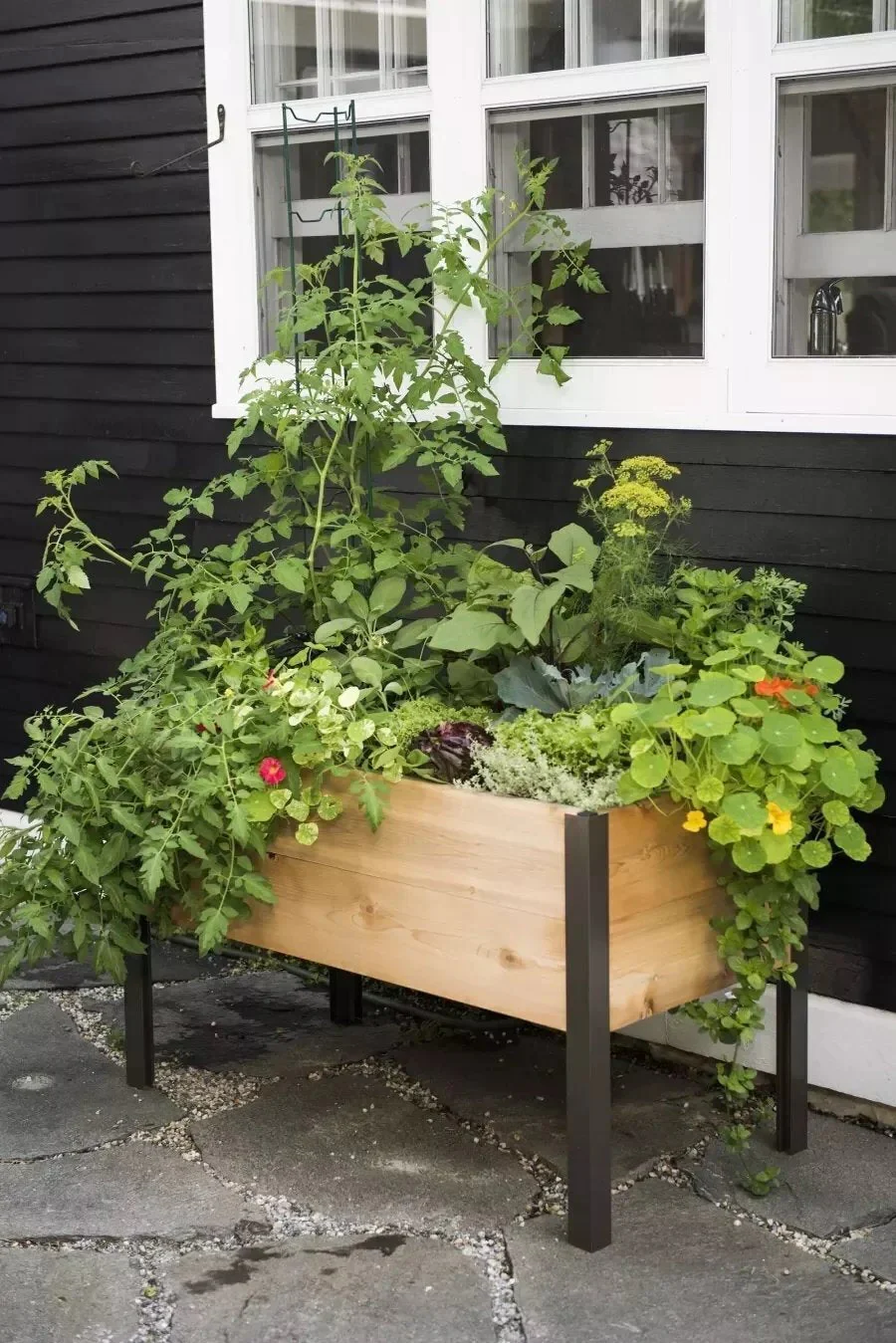 2025 Watering Eco-Stained Elevated Planter Box