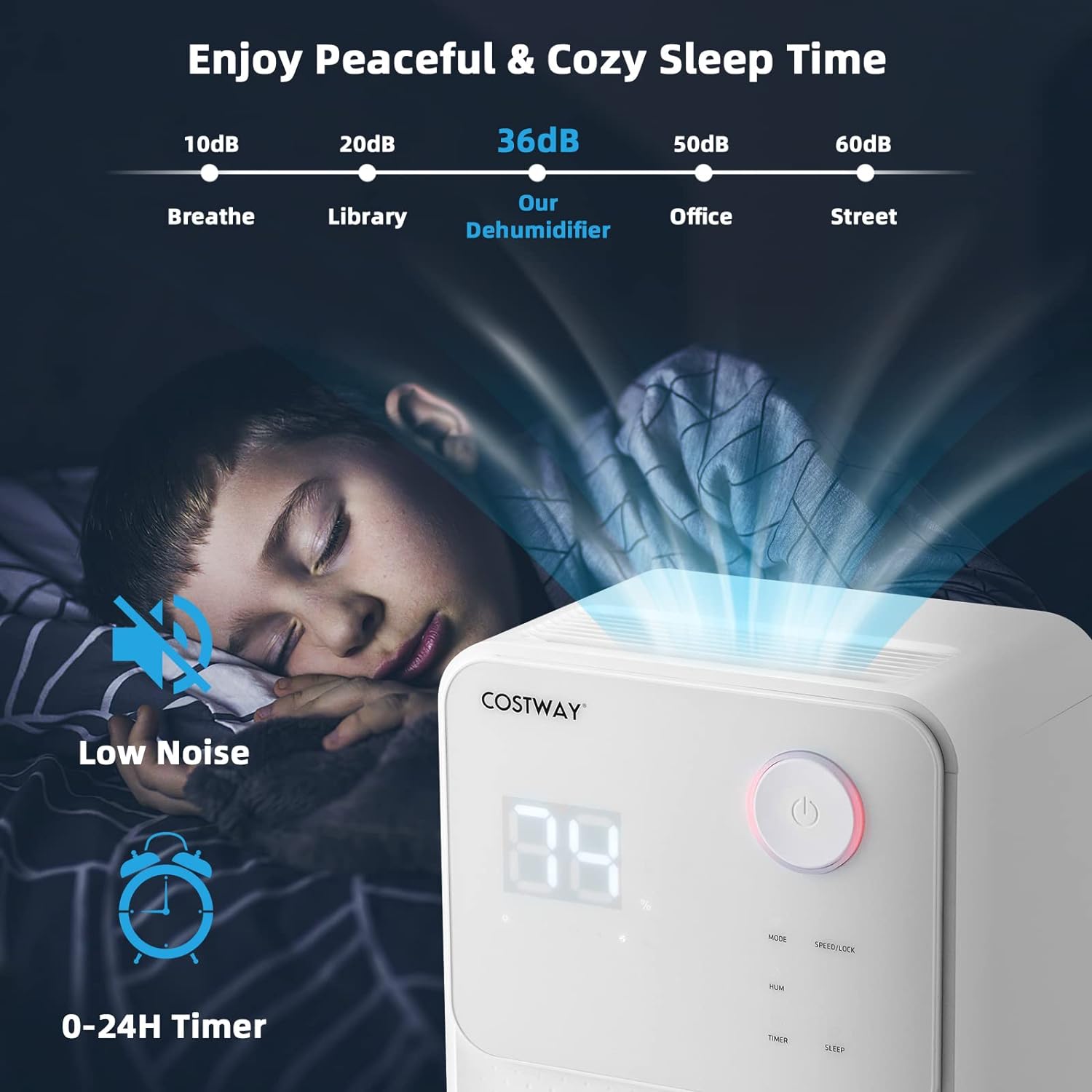 Dehumidifiers for large rooms and basements