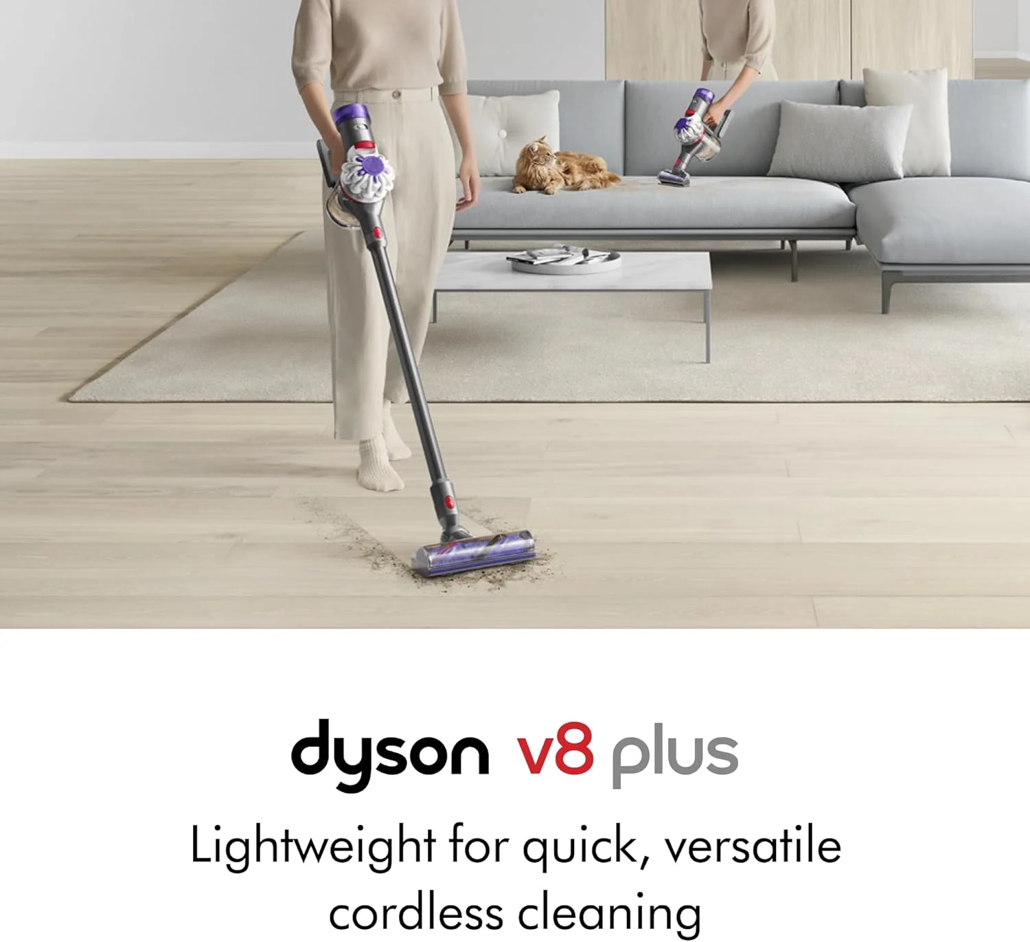 Cordless vacuum cleaner, silver/nickel