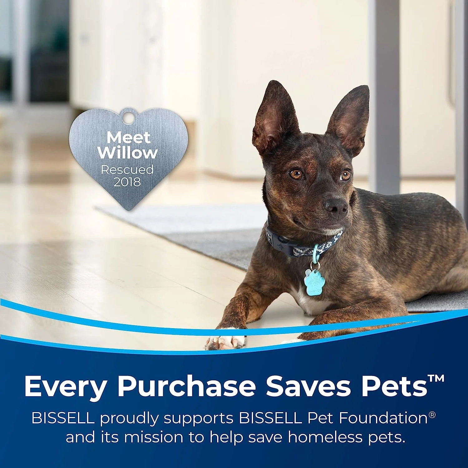 2025 2025 Bissell Multi-Purpose Portable Carpet and Upholstery Cleaner, 1400B