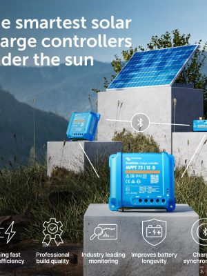 2025 Wavestorm 8ft Classic Longboard