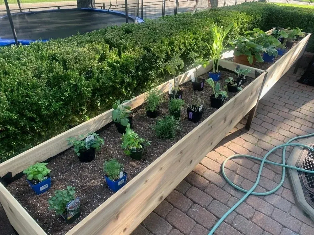 🎍Heavy Duty Standing Garden Planters for Outdoor❤️(2' x 8' )