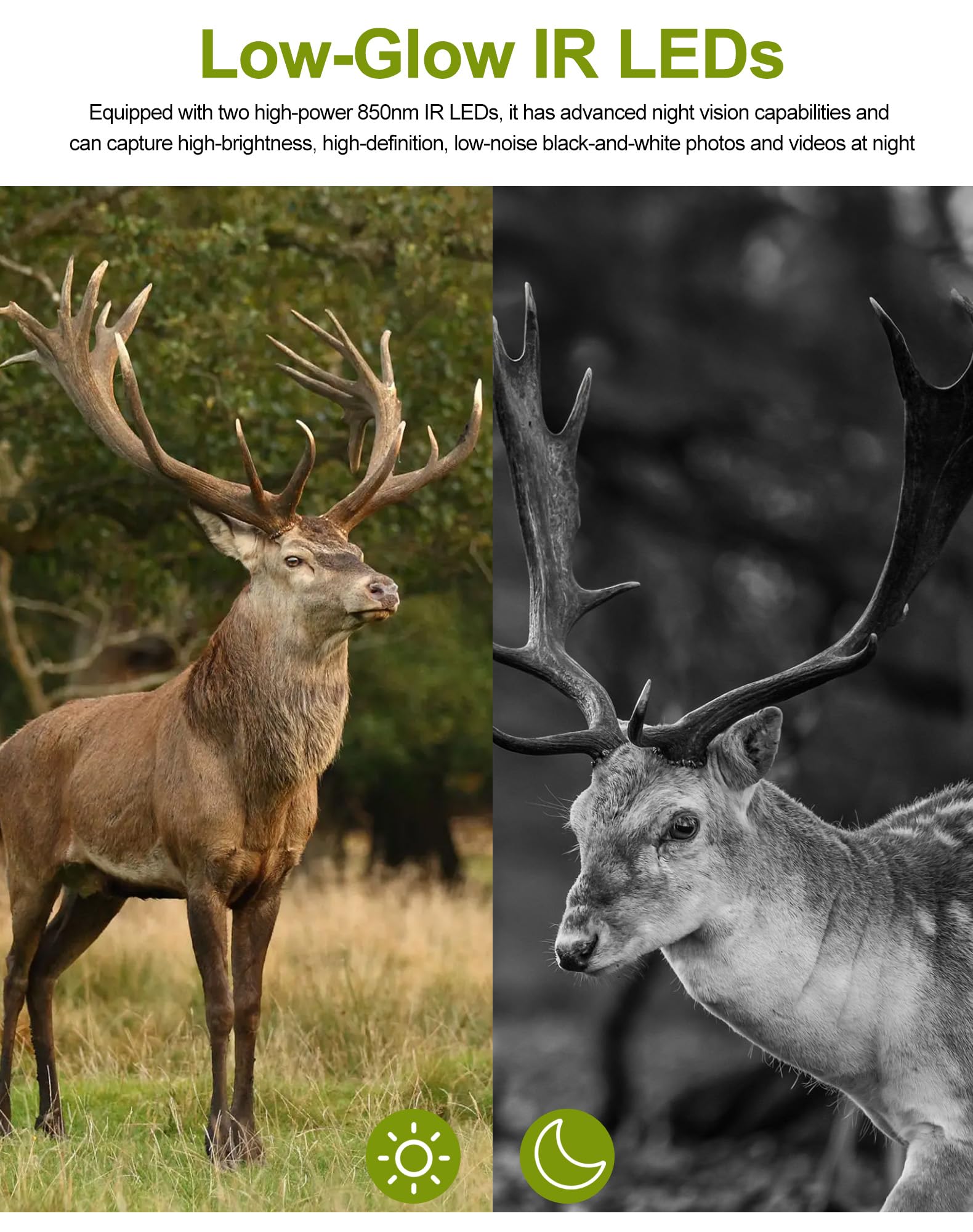 Smart Bird Feeder with Camera, 5200mAh Battery with Solar Panel