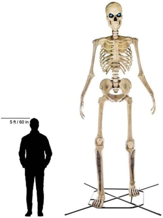 2025 Home Accents 12 ft. Giant-Sized Skeleton with LifeEyes NO250058
