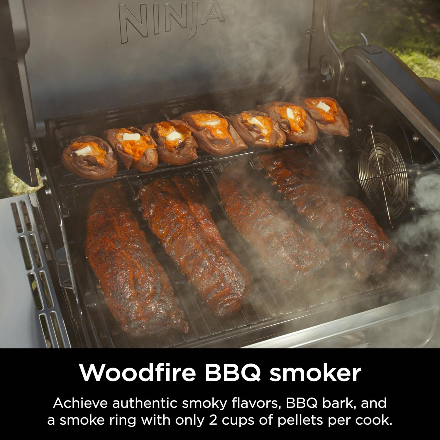 NINJA Flexflame 5-in-1 Electric & Propane Grill System