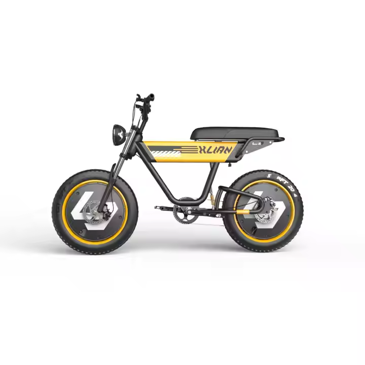 48V 750W electric bike 1000w 15AH hydraulic disc brake electric bike full suspension dirt mountain fat tire bicycle electric