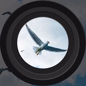 Long Range Night Vision Binoculars