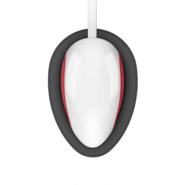 EasyPress Mini, Raspberry + Essentials Iron -On Bundle