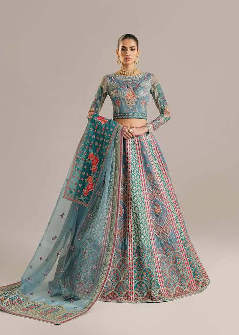 Akbar Aslam Organza Frock