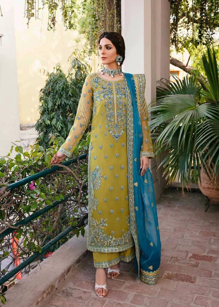 Akbar Aslam Organza Suit