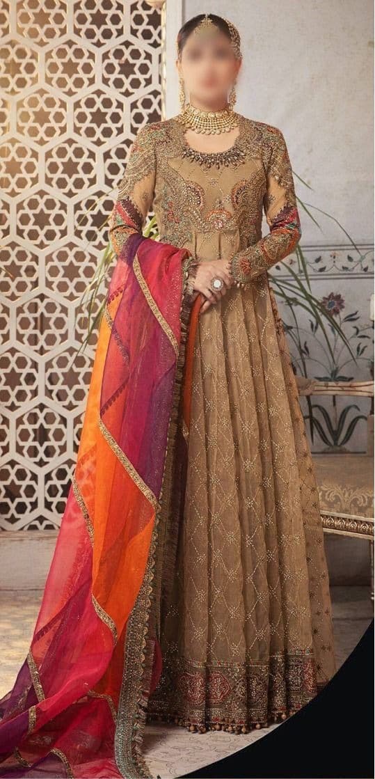 Maria B Organza Maxi