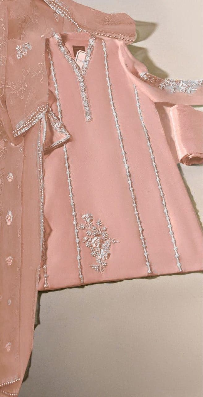 Agha Noor Organza Suit