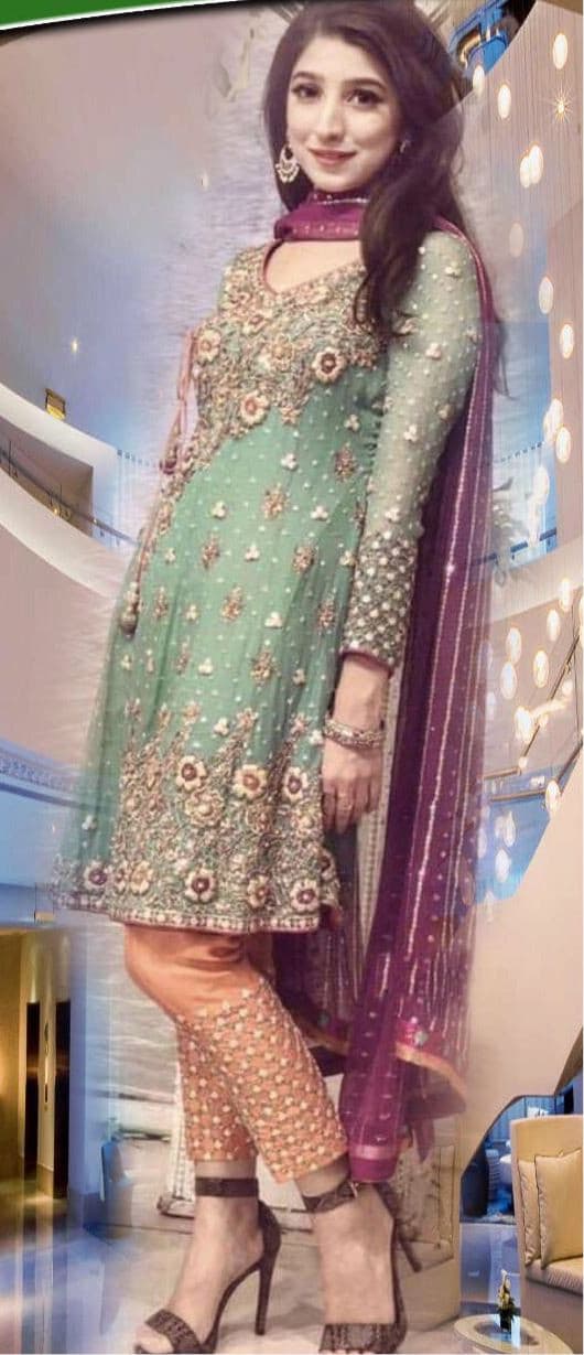 Chiffon Embroidered Suit