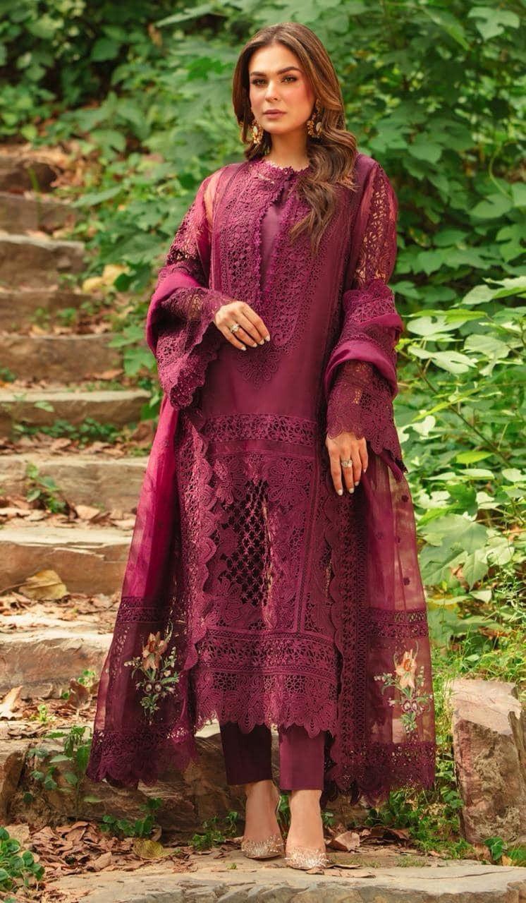 Aneela's Organza Suit