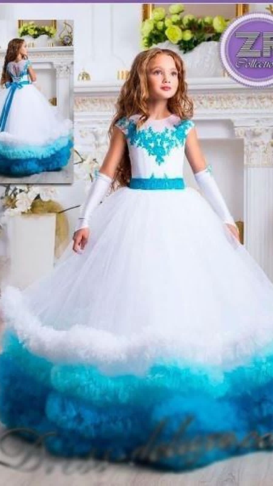 Embroidered Net Maxi