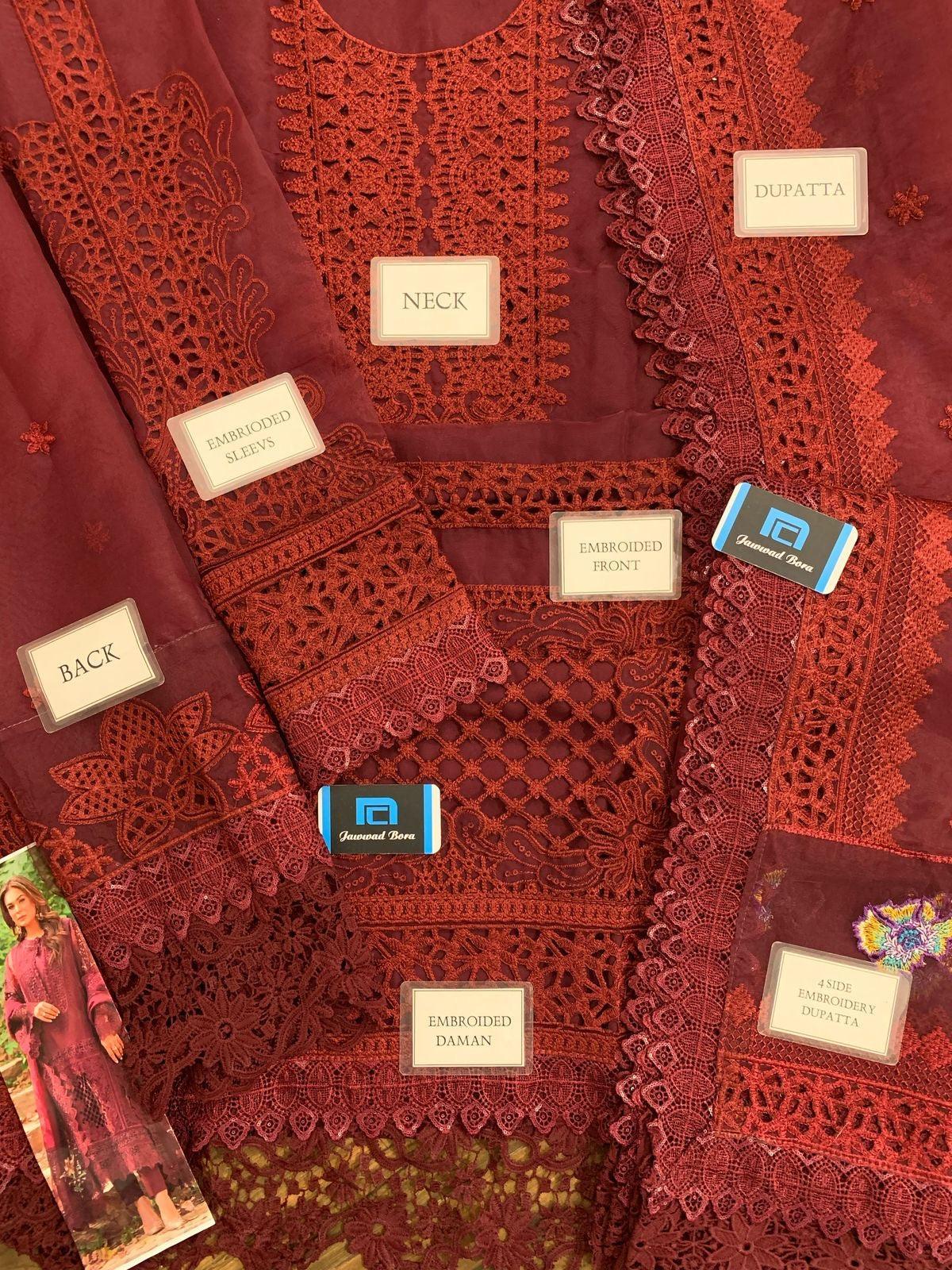 Aneela's Organza Suit