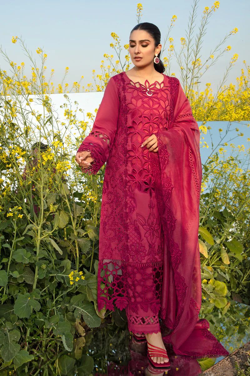 Rang Rasiya Lawn Suit