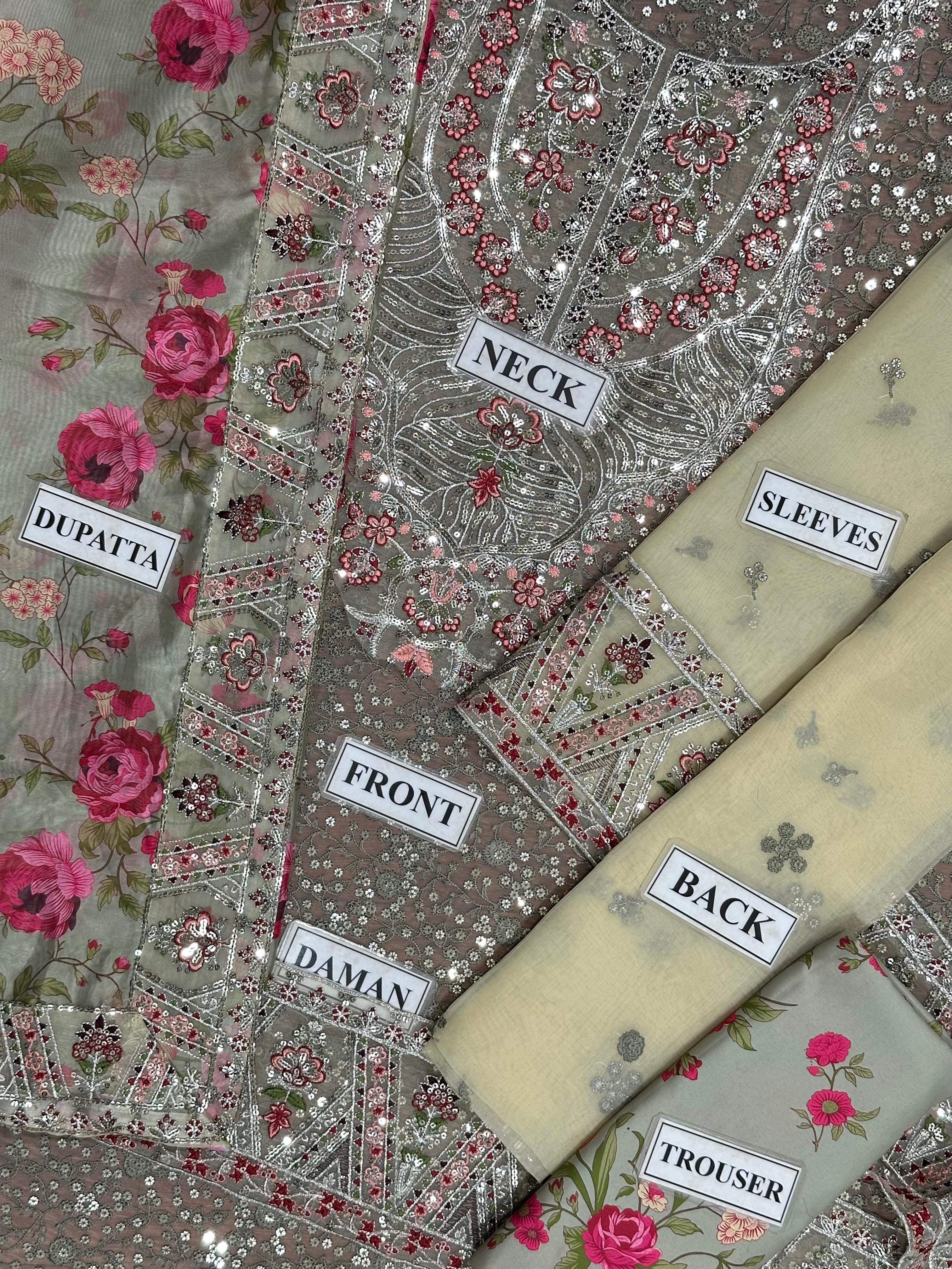 Aneelas Organza Suit