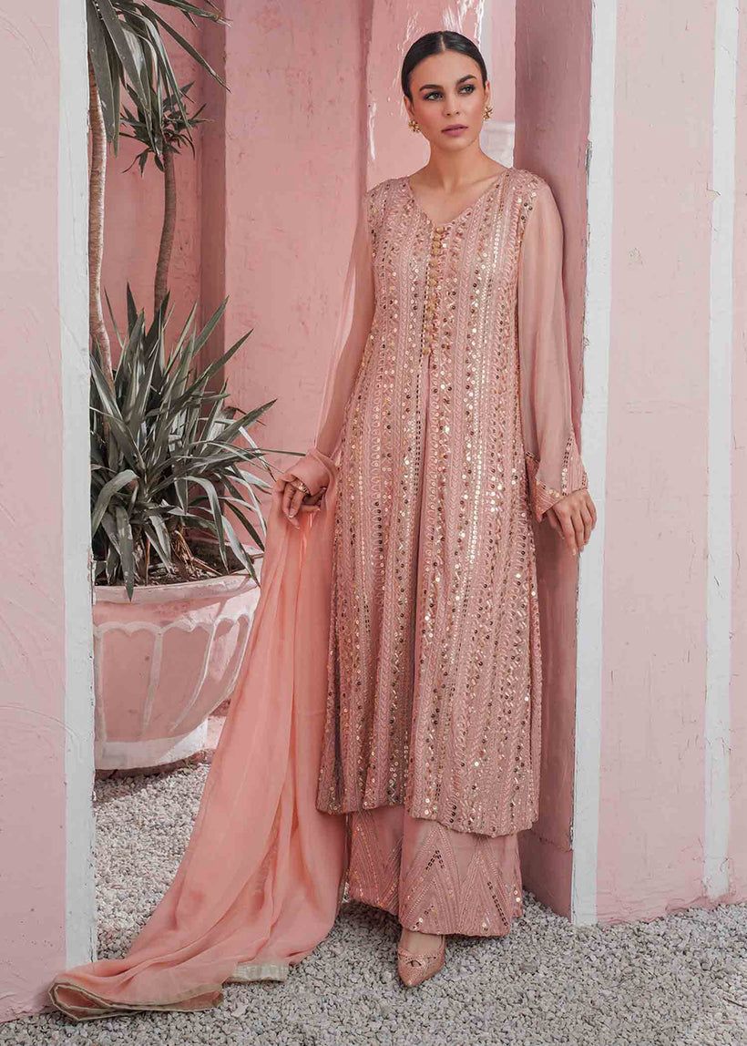Laam Chiffon Suit