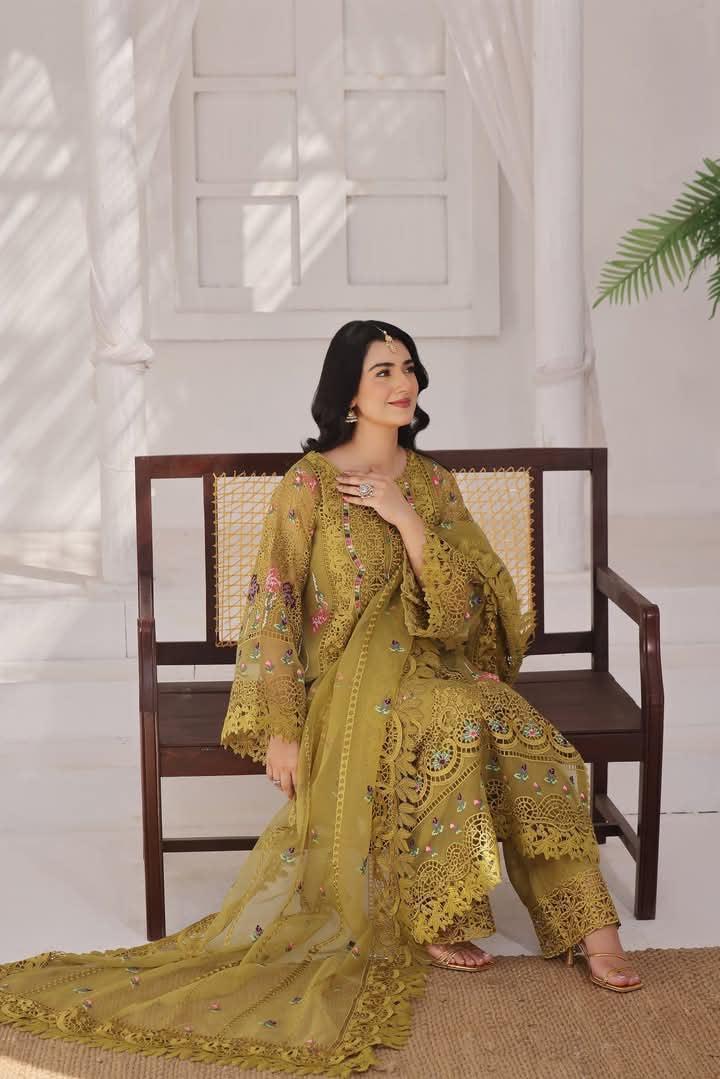 Aneelas Organza Suit