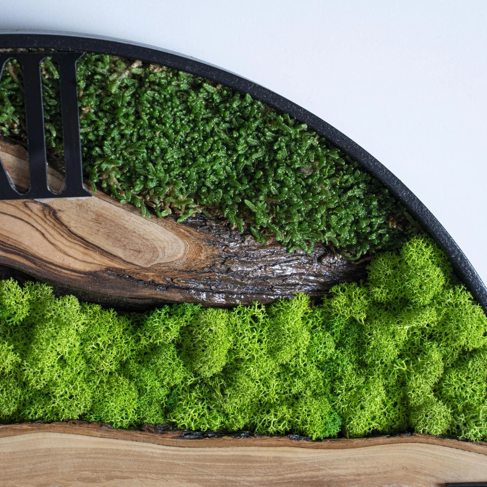 Handmade Moss and Olive Wood Wall Clock with Metal Frame �C Preserved Stabilized Moss Wall Art Clock for Living Room, Bedroom & Office �C Unique Valentine's Day Gift